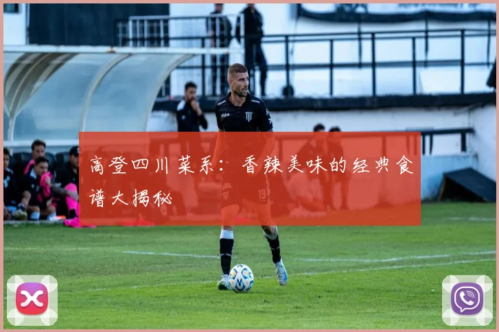 高登四川菜系：香辣美味的经典食谱大揭秘