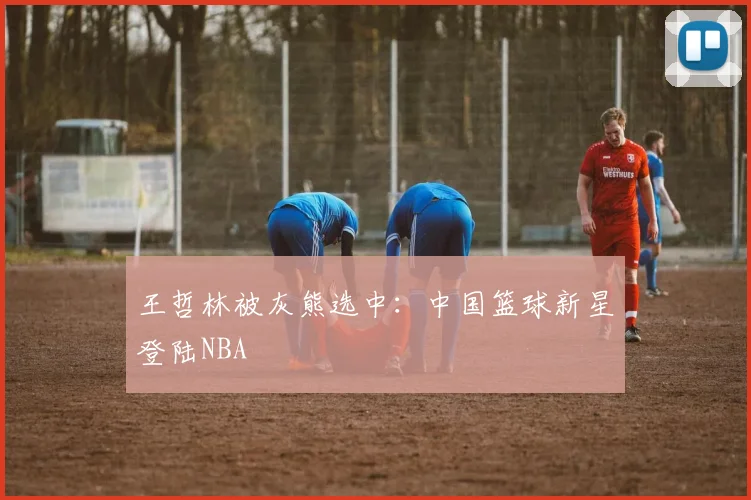 王哲林被灰熊选中：中国篮球新星登陆NBA